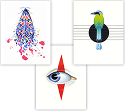 Visual of the fine art prints that accompany the Deluxe Edition of the Spirit of Talk Talk book